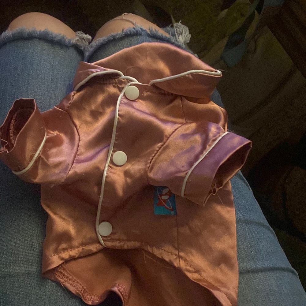 Silk dog pajamas